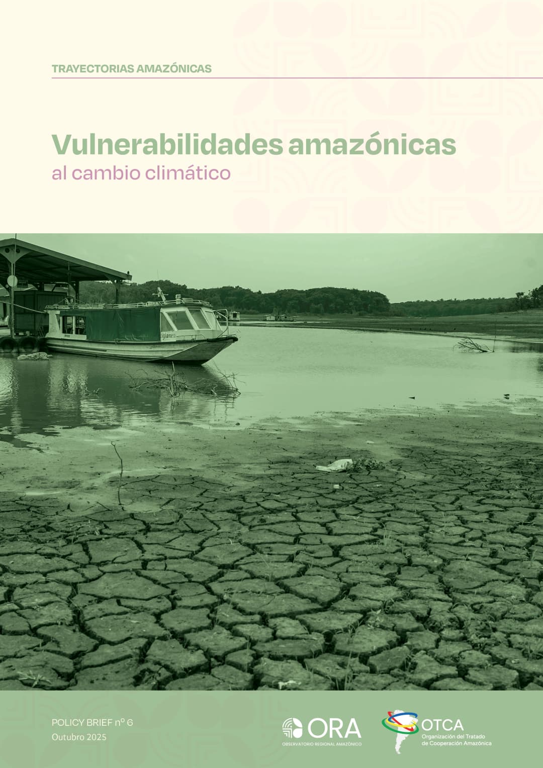 Vulnerabilidades amazónicas al cambio climático
