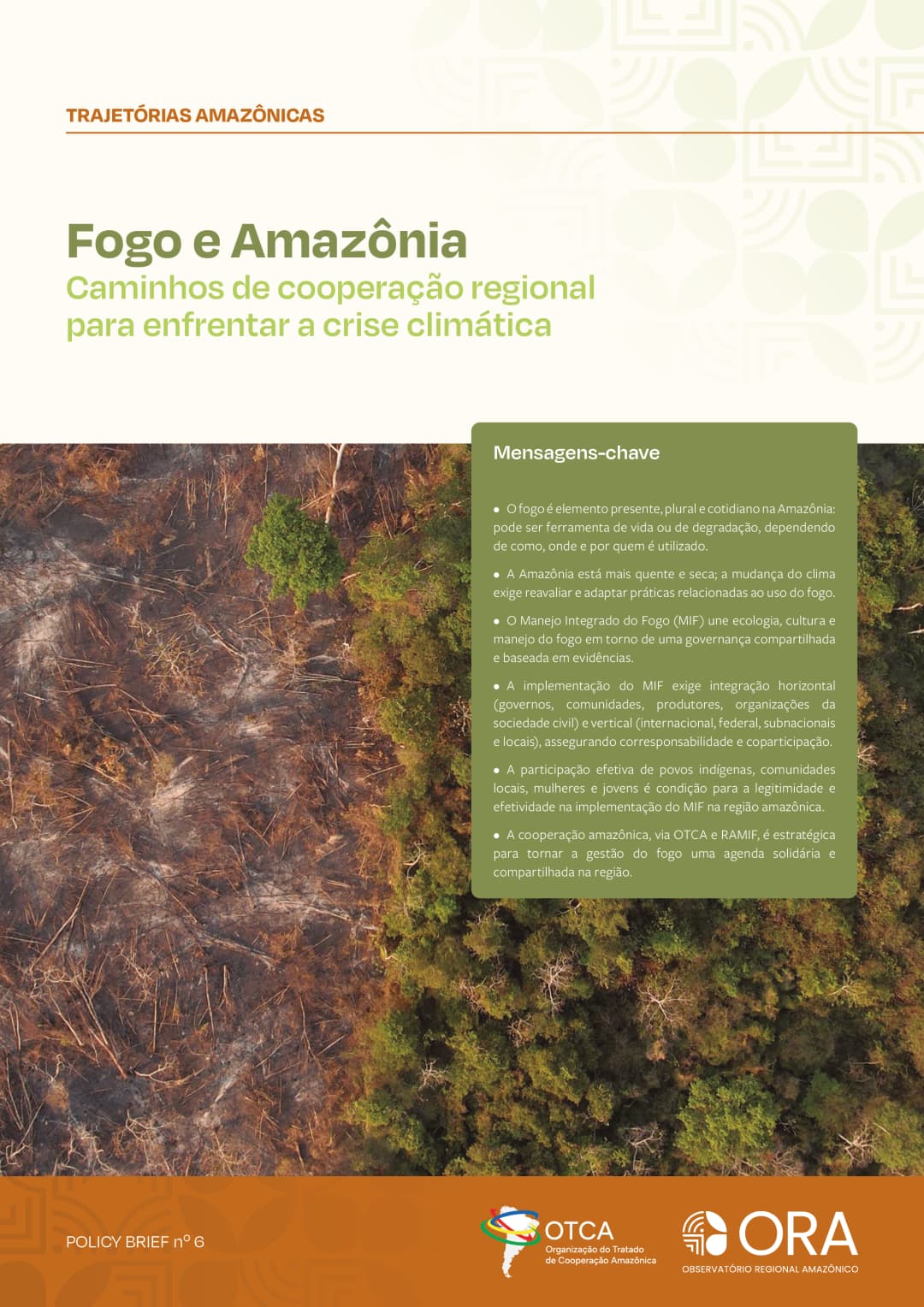 Fogo e a Amazônia