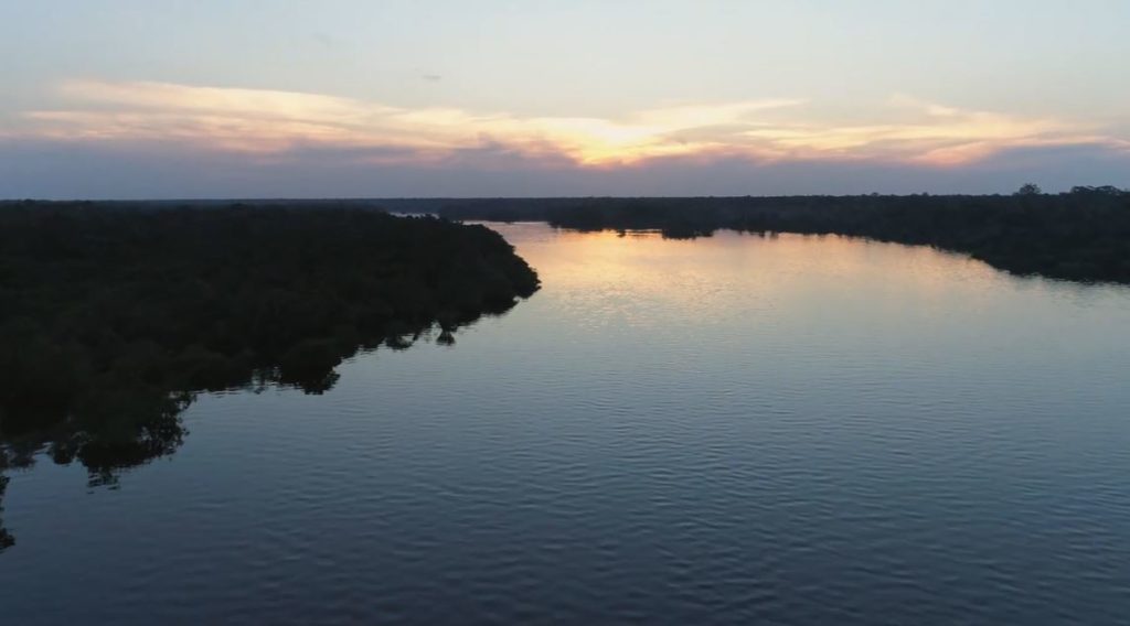 AMAZONIA’S FLYING RIVERS – No Forest No Water