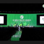The ACTO Regional Forest Programme was presented at the 15th World Forestry Congress