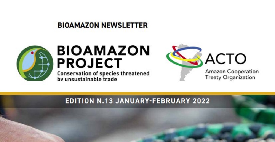 Bioamazon Newsletter Edition 13