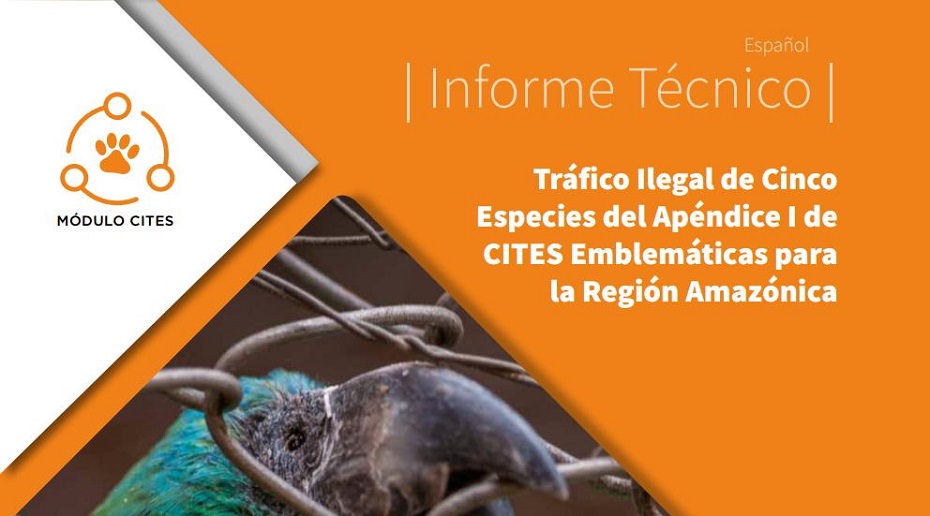 Informe Técnico de Tráfico Ilegal de Cinco Especies del Apéndice I de CITES Emblemáticas para la Región Amazónica