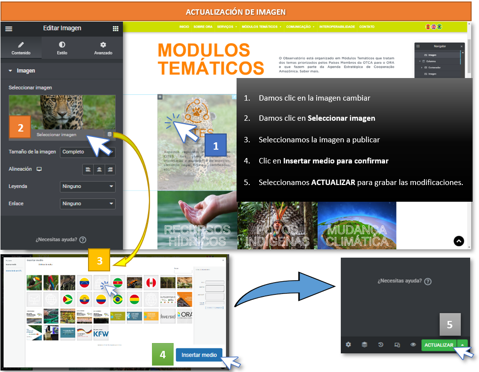 elementor-imagenes