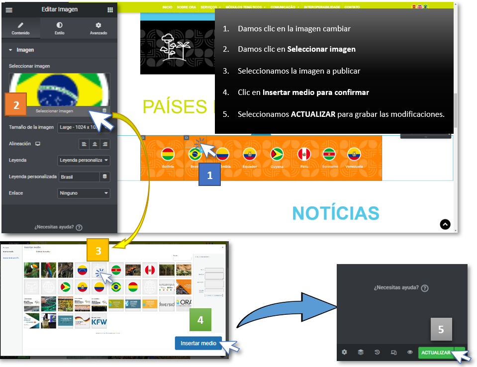 elementor-iconos2