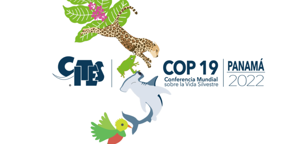 OTCA participará activamente en la CoP 19 de CITES