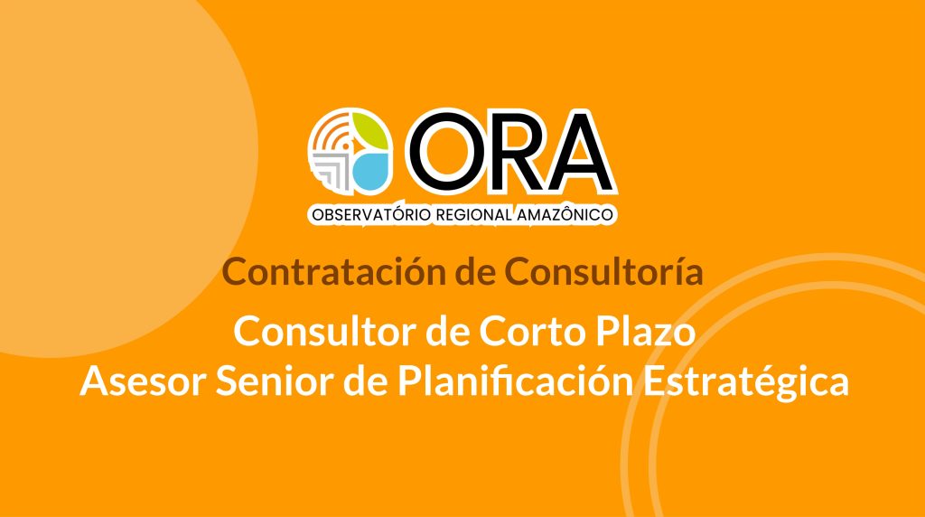 Consultor de Corto Plazo – Asesor Senior de Planificación Estratégica